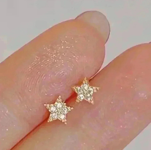 Ziron 925 Studded Star Earrings - Picture 5 of 5